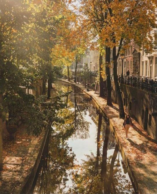 Vlinder's Lejlighed Utrecht Eksteriør billede